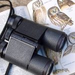 6 Reasons Why Birdwatching is Important