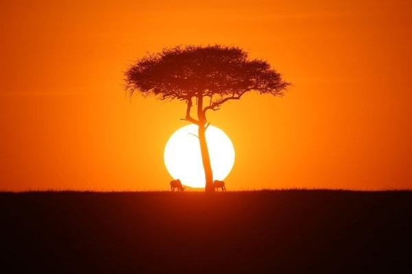 Sunrise in the Masai Mara