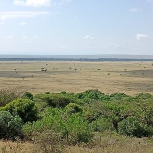 Bush and Beyond Kenya Safari 10 Days