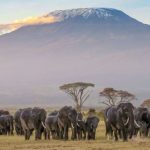 Top 34 Reasons For A Vacation To Kenya