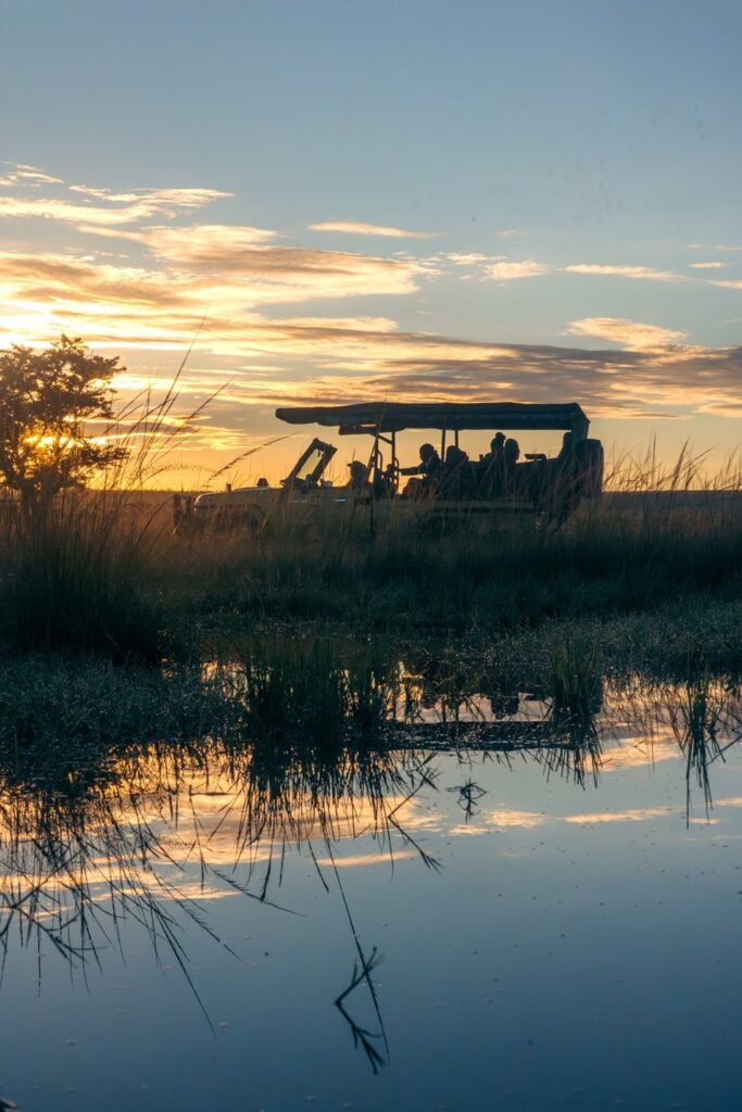 The Safari Rally Kenya Reimagined