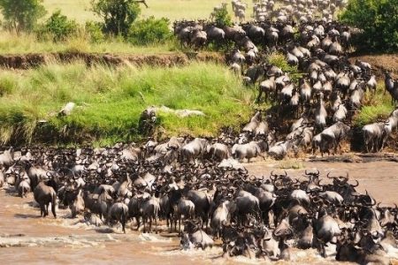Facts About the Great Migration